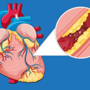 Metabolik Endokrin