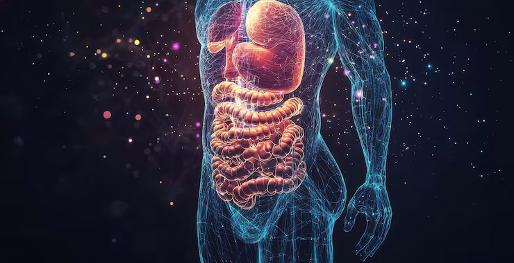 Sistem Gastrointestinal (GI) – Basics